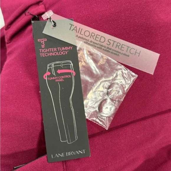 Lane Bryant‎ The Lena Moderatley Cury Fit Classic Trouser - Picture 9 of 10
